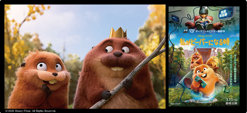 私がビーバーになる時